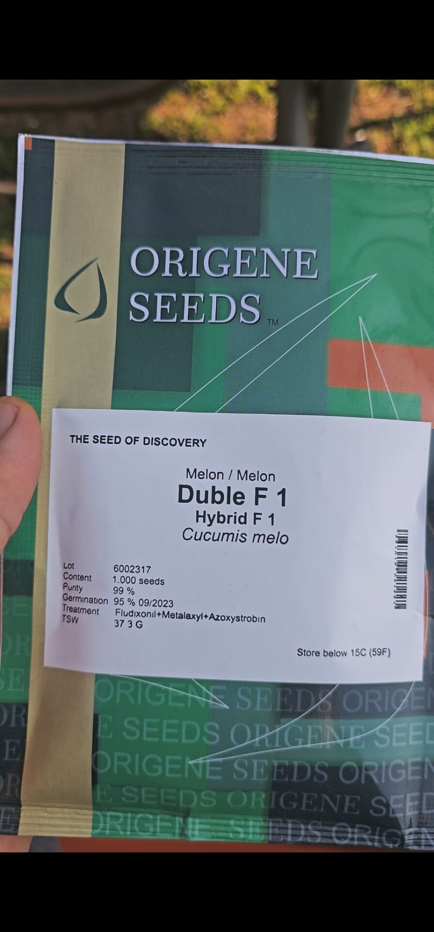 DUBLE F1 KAVUN TOHUMU